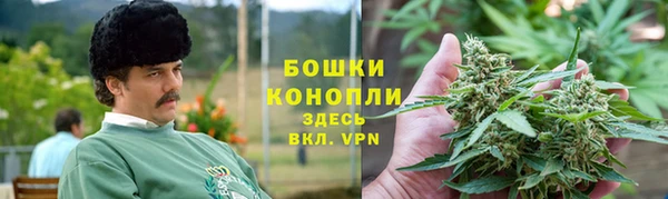 ГАЛЛЮЦИНОГЕННЫЕ ГРИБЫ Кулебаки
