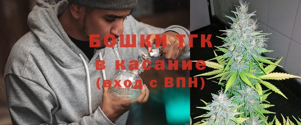 ГАЛЛЮЦИНОГЕННЫЕ ГРИБЫ Кулебаки