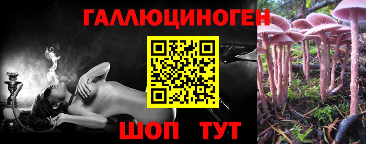 Псилоцибиновые грибы мухоморы Приморско-Ахтарск