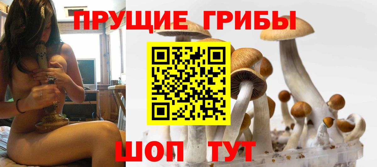Галлюциногенные грибы ЛСД  Вход с VPN  Галлюциногенные грибы прущие грибы  Приморско-Ахтарск 